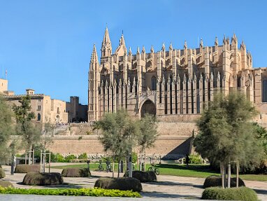 Palma